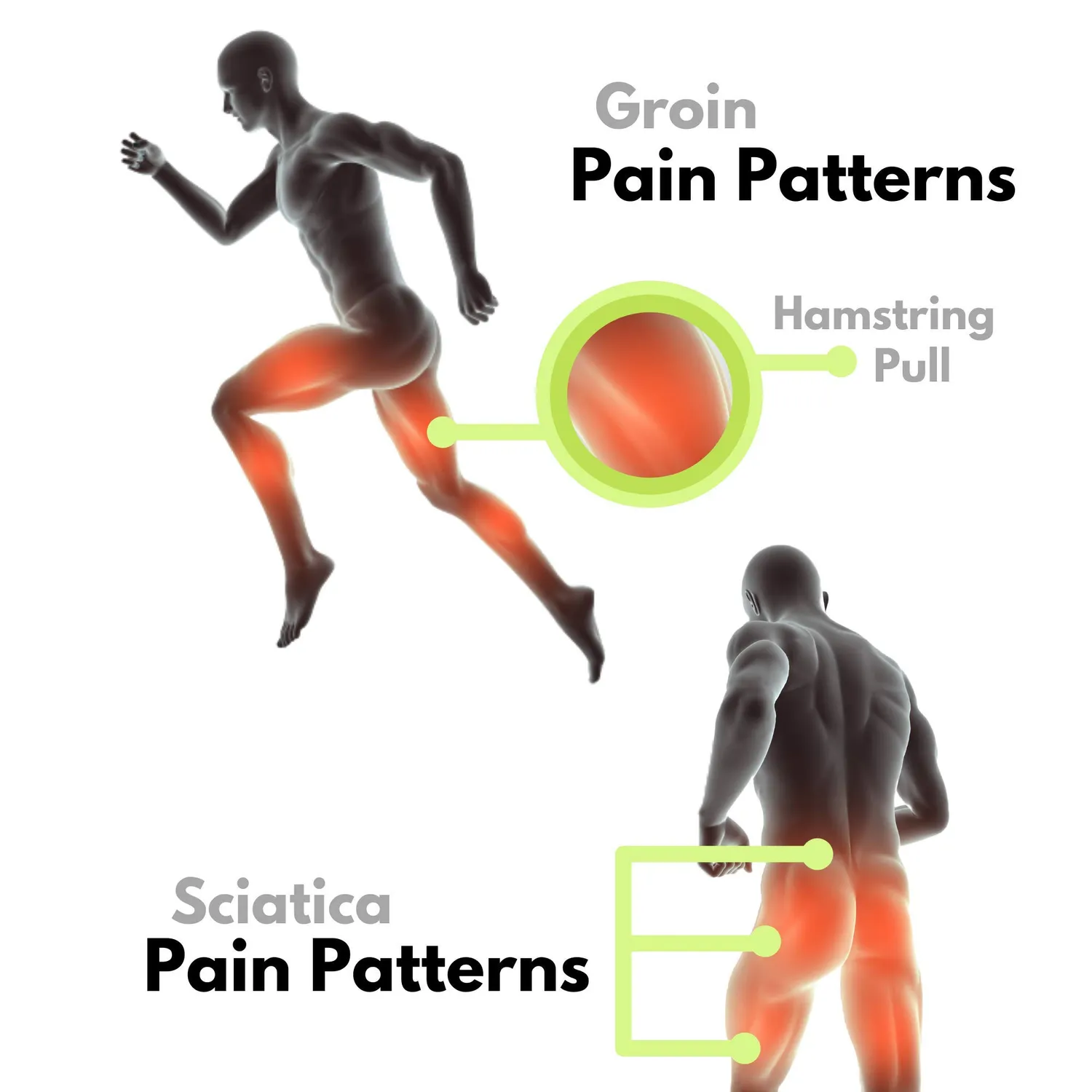 Bodyprox Groin Wrap fascia inguine coscia regolabile unica